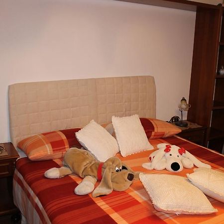 Appartement Patrick'S House à Belluno Extérieur photo